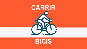 CARRIL BICIS
